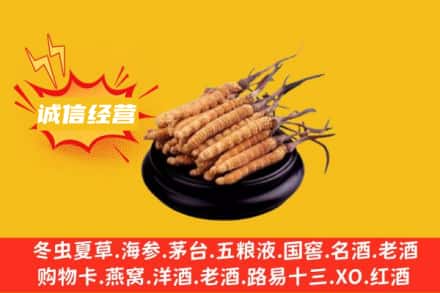 红旗区回收冬虫夏草